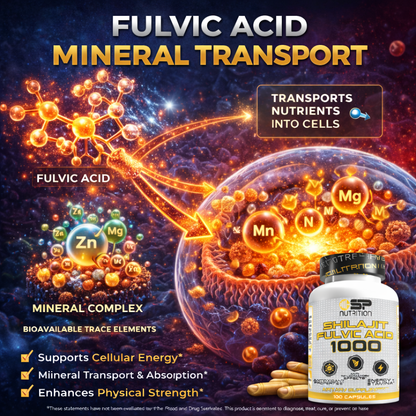 Shilajit Fulvic Acid 1000 – Absorption Enhancer & Trace Minerals for Energy, Performance & Immune Support (100 Capsules)