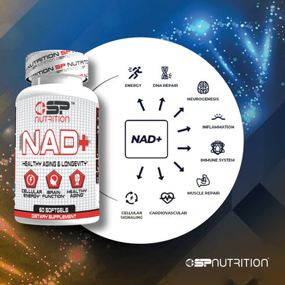 NAD+ 1000 mg | Cellular Energy, Brain & Healthy Aging Support | 60 Softgels | Premium NAD Supplement